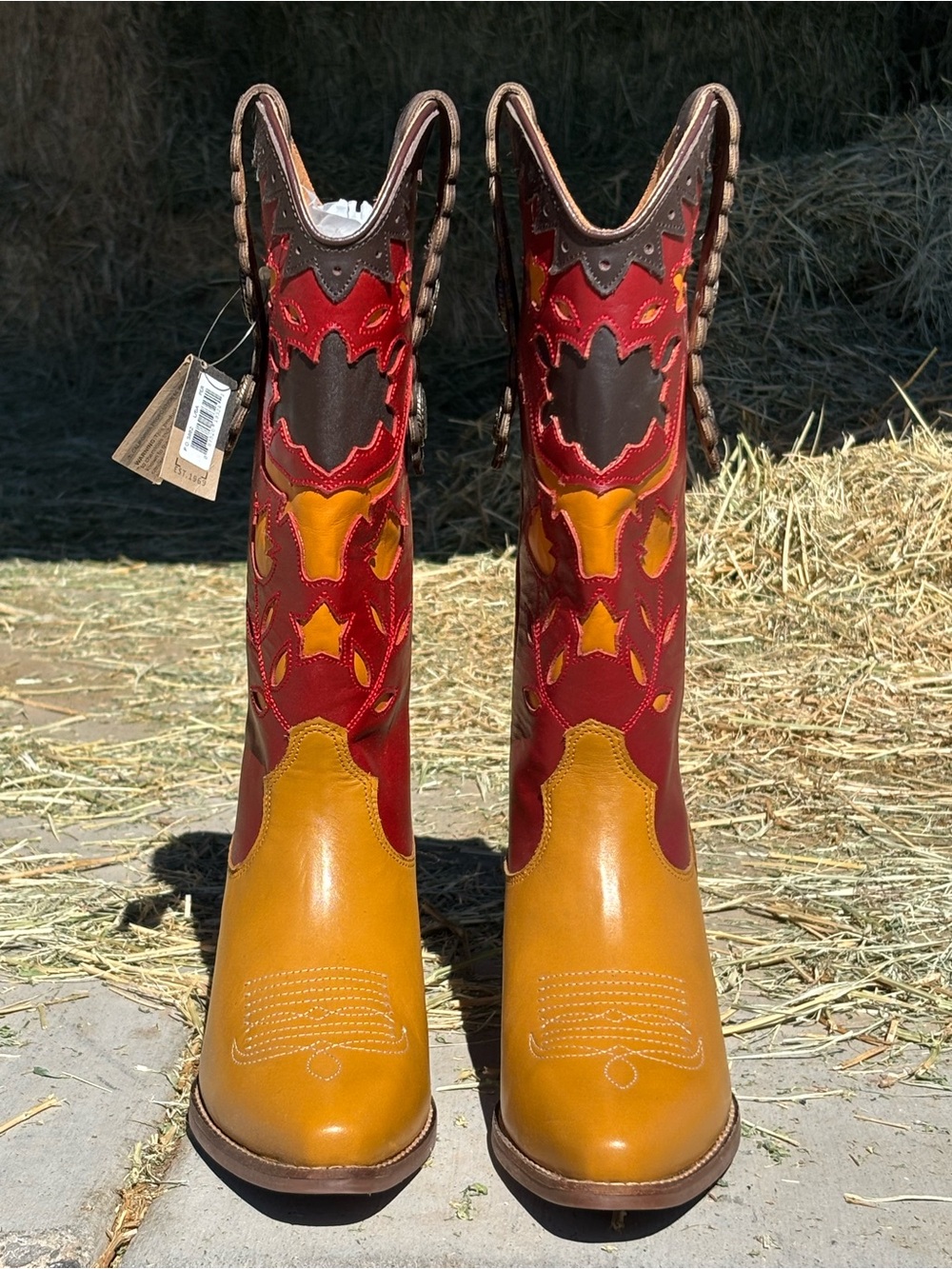 Dingo - Dancing Boots - Picture 2 of 6
